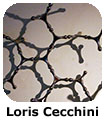 Loris Cecchini